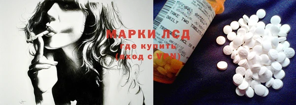 МДПВ Ельня