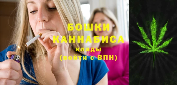 метадон Елизово