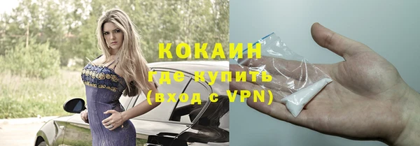 метадон Елизово