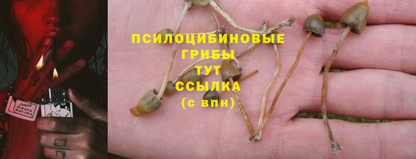 МДПВ Ельня