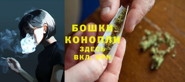 МДПВ Ельня