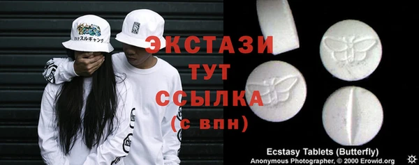 МДПВ Ельня