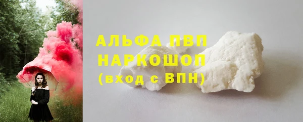 МДПВ Ельня