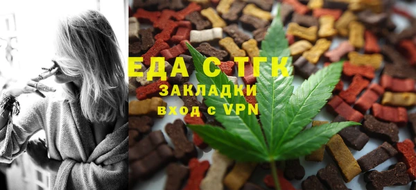 МДПВ Ельня