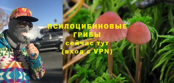 МДПВ Ельня