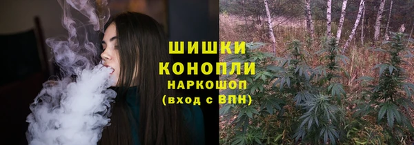 метадон Елизово