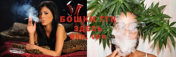 МДПВ Ельня