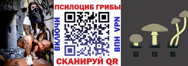 Псилоцибиновые грибы прущие грибы Нальчик