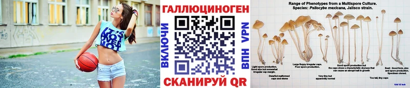 Галлюциногенные грибы Cubensis  Купить где  Нальчик 